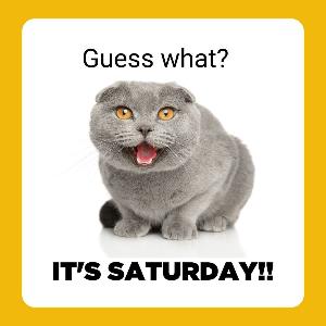 What is caturday(CATURDAY)