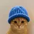 CATWIF