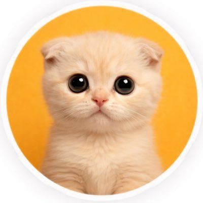 Cos’è CatxSolCoin(CAT)