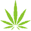 CBD Health Network(CHN)转换器和计算器