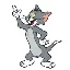 أداة تحويل وحاسبة عملة TOM CAT (CAT)