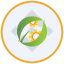 Cos’è CEA Industries Tokenized bStocks(BNCB)