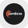 Jak sprzedać Cerebras Systems (rCBRS)