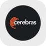 Cerebras Systems