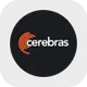 Precio de Cerebras Systems
