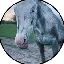 أداة تحويل وحاسبة عملة Cheyenne (CHEYENNE)