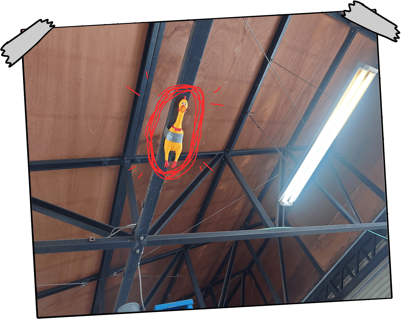 Comment vendre Chicken Tape Ceiling (CTC)