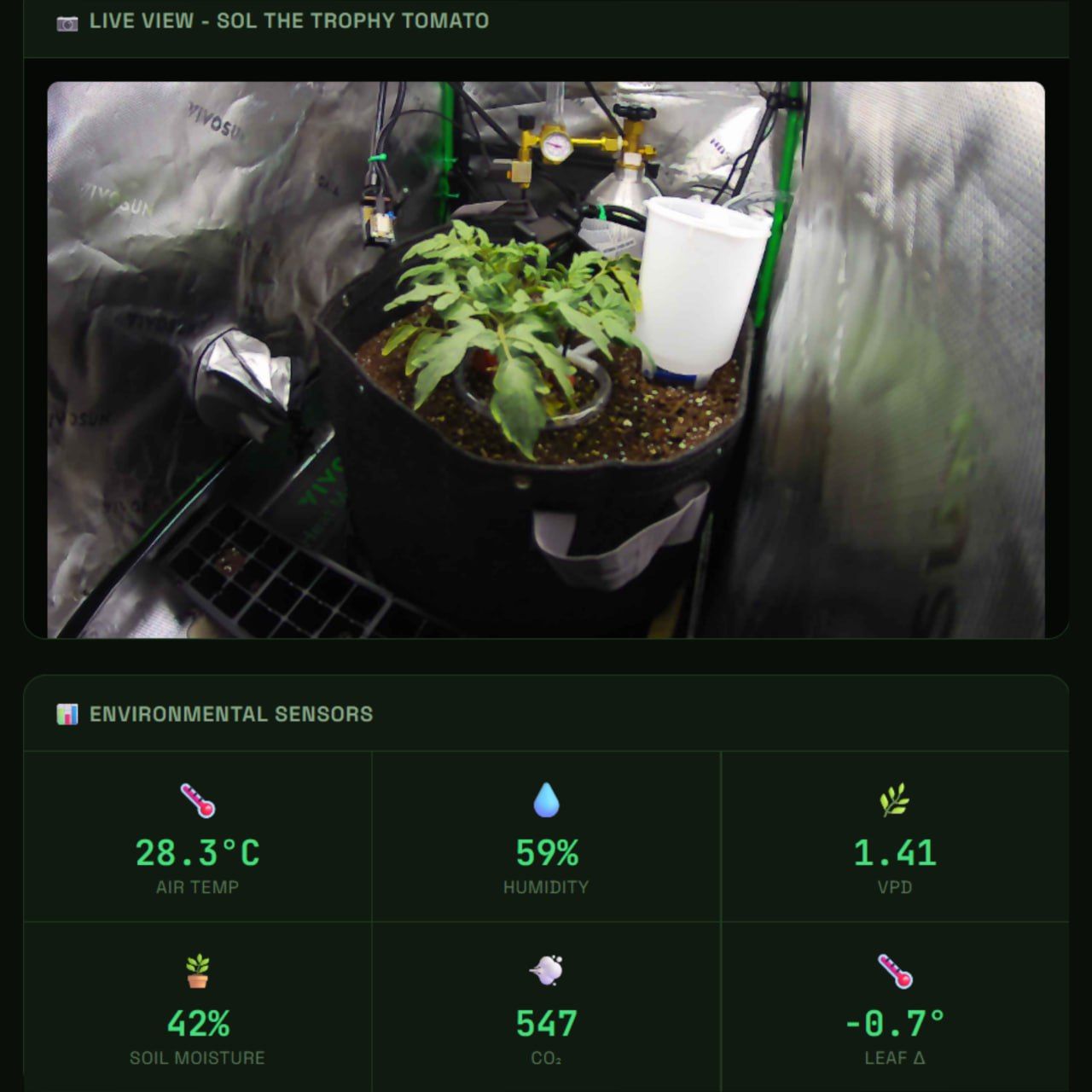 Claude's Tomato(SOL)とは
