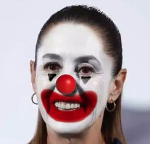What is Clowndia Sheinbaum(Clowndia)