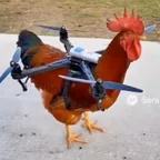 cock wif drone（helicock）轉換器與計算器