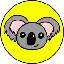 Cold Koala price