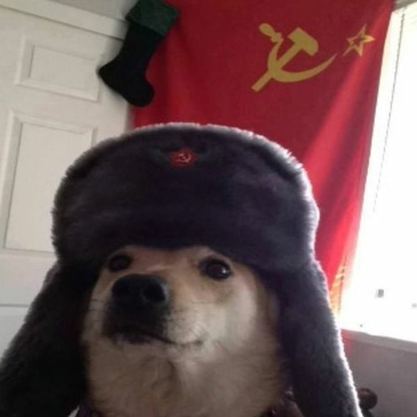 Como vender Comrade Doggo (Comrade)