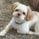 Preço de cooper