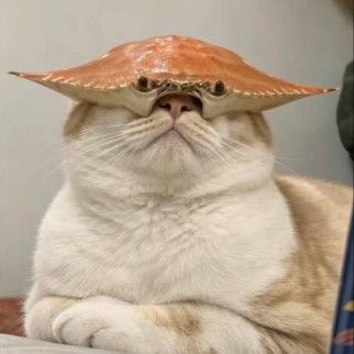 Що таке crabhat(crabhat)