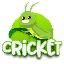 Cricket Preis