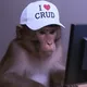 Prezzo di CRUD Monkey