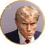 Что такое Giga Trump(GTRUMP)