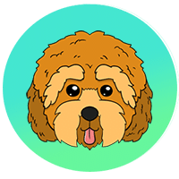 What is Cockapoo(CPOO)