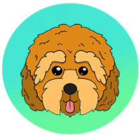 Precio de Cockapoo
