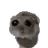 HAMMY