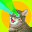 Bitcoin Cat(BTCAT)とは