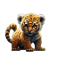 BabyBNBTiger qiymət