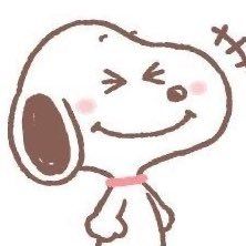 Ціна Daily Snoopy