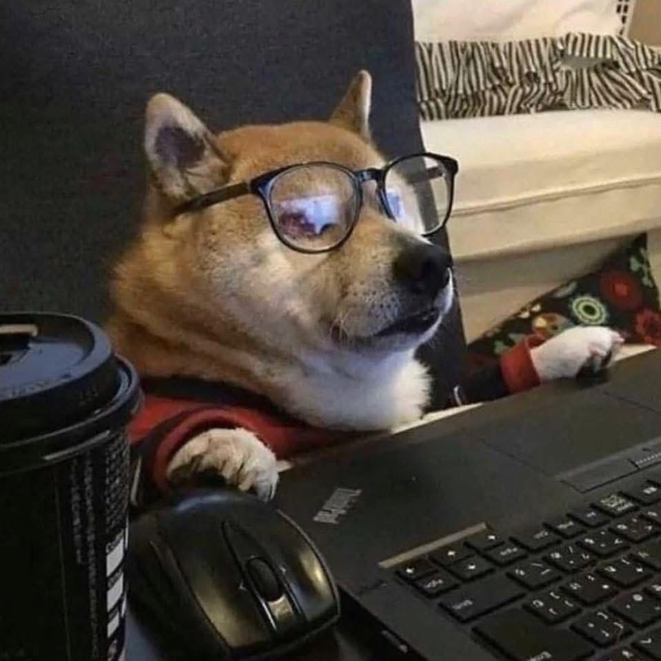 Как продать Degen Inu (DINU)