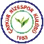 Convertisseur et calculateur de Rizespor Token (RIZE)