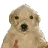 JOTCHUA