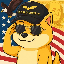Что такое Doge Grok Companion(DOGE)