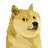 DOGEINU