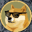 Что такое DogeCoin(DOGECOIN)