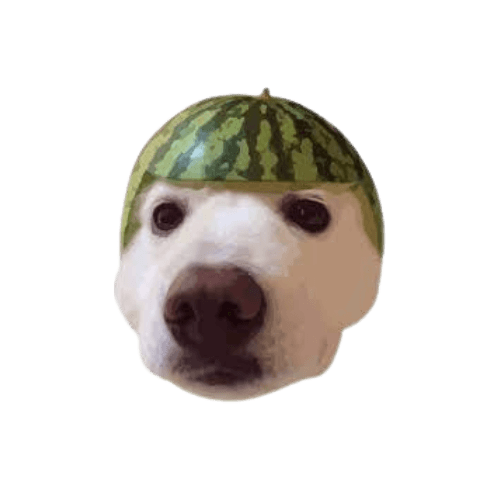 Como vender DOGEMELON (DOGEMELON)