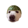 DOGEMELON