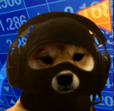 什么是 DogWifMask(DASK)