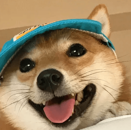 Duofu 價格