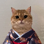 ¿Qué es Cat Own Kimono(COK)?