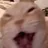 BULLYINGCAT