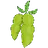 SOY
