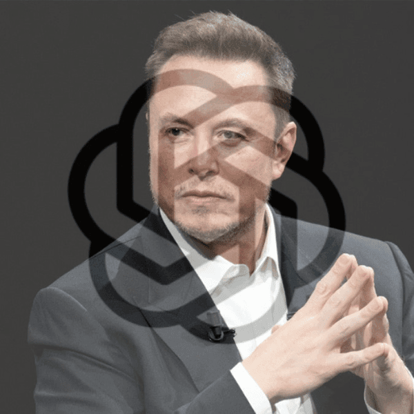 Що таке ElonGate(ElonGate)