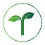Ents (ENTS) converter at calculator