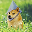 Prezzo di ETH DOGE