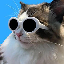 Qu'est-ce que coolcat(COOL)