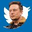 ELON BUYS TWITTER(EBT) nima