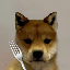 dogwiffork(FORK) nima