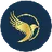 GMFI