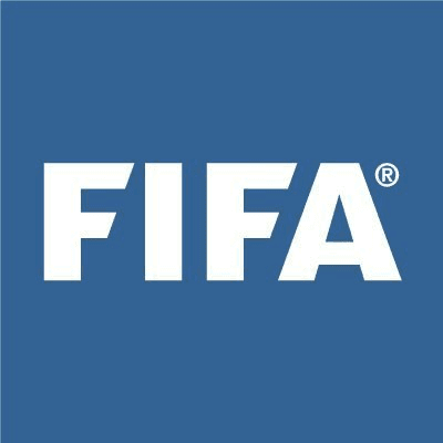 What is FIFA-SOL(FIFA-SOL)