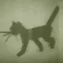 First Digital Cat (1968)
