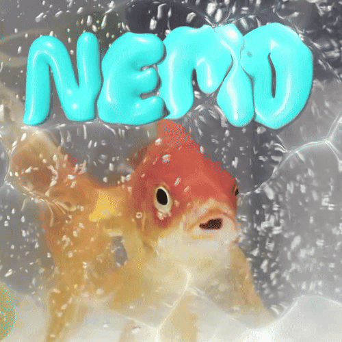 Comment vendre First ever trader fish (NEMO)